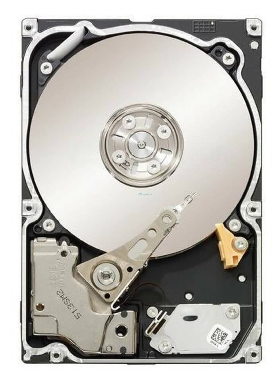 هارد اسکازی